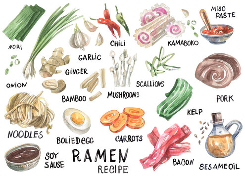 Bright watercolor illustration of Japanese traditional cuisine, ramen, ingredients and description. Ramen recipe illustration in sketch style. For menus, cafes, restaurants.