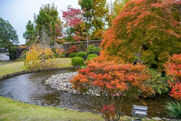 Obraz premium カラフルな紅葉に囲まれた秋の日本庭園の情景＠兵庫