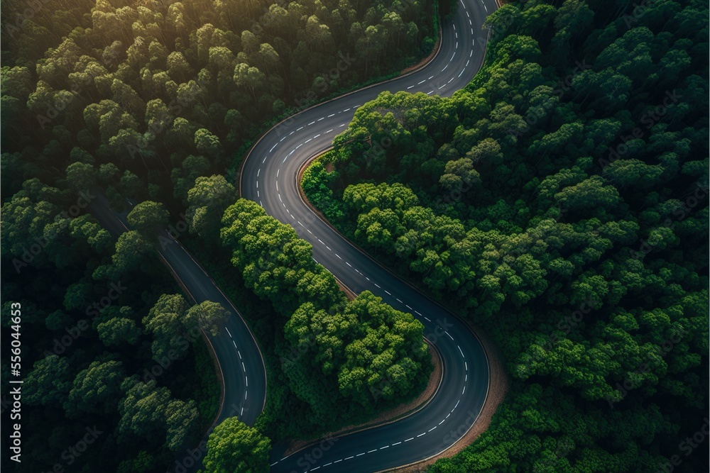 Poster a winding road in the middle of a forest with trees on both sides of it and a sun shining on the roa