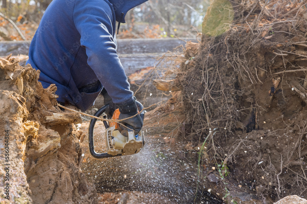 Wall mural using chain saw to cut down trees service worker ends up causing an ecological disaster as he destro