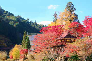 [愛知県]豊田市稲武町の大井平公園の紅葉