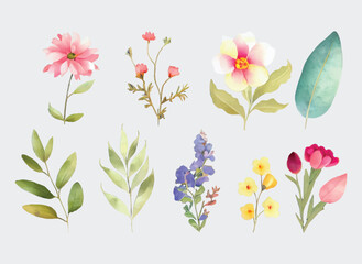 Obraz na płótnie Canvas collection of flowers Beautiful Watercolor set of Design Ornaments