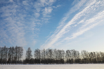 Winter snowy frosty landscape. The forest is covered with snow. Frost and fog in the park.