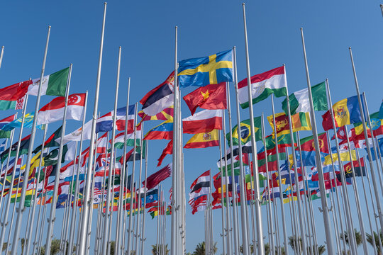 Various flags of the world