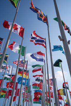 Various flags of the world