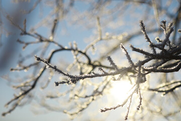 Winter landscape. Fairy-tale beauty of snow-covered streets. Snowfall and cooling in tourist areas.