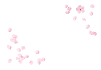 Foto op Plexiglas 切り抜きで使える、リアルな桜の花吹雪 © AGRX