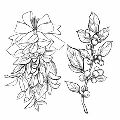 Fototapeta premium set of elements flowers and leaves and cone. Hand draw illustration, black lines
