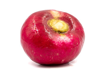 Purple radish isolated on a white background. Clipping Path. Full depth of field. close up