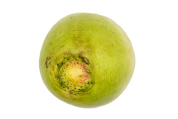 Green radish isolated on a white background. Clipping Path. Full depth of field. close up