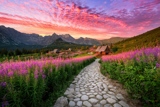 Fototapeta Beautiful summer sunrise in the mountains - Hala Gasienicowa in Poland - Tatras
