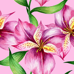
Watercolor alstroemeria flowers in a seamless pattern. Can be used as fabric, wallpaper, wrap.