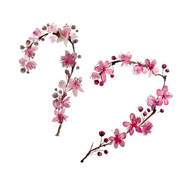 Pink sakura colorful branch set watercolor sketch