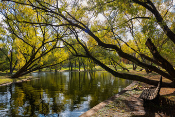 autumn in the park