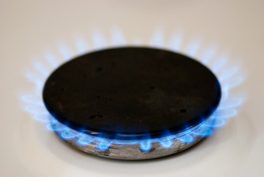Gas-stove burner