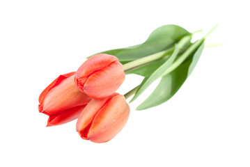 Tulips bouquet