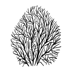 Tree, bush, branches outline. Hand drawing. For printing, for your design