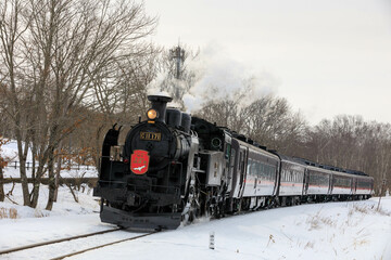 SL冬の湿原号（北海道）