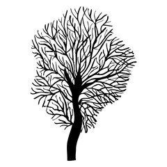 Tree, bush, branches outline. Hand drawing. For printing, for your design