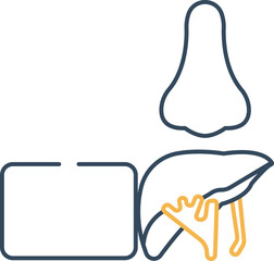 Human Liver Vector Icon
