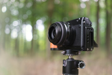 Kamera Stativ Wald softer Hintergrund