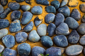 photo view of shellfish shells on an empty shore on the sand, on the beach in Dubai Marina, Dubai, United Arab Emirates