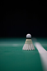 badminton shuttlecock on the ground in the playing field