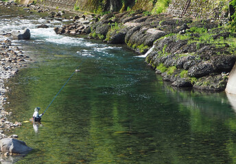 Ayu fish angler in the river