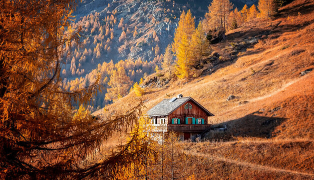Wonderfu alpine highlands in sunny day. Scenery of nature with hunter hut. Stunning Austrian Alps. Incredible natural background. Amazing mountain autumn landscape. picture of wild nature