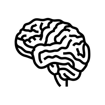 human brain human line icon vector. human brain human sign. isolated contour symbol black illustration
