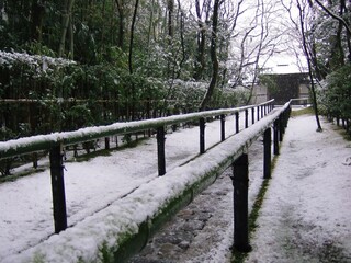 京都 大徳寺高桐院の雪景色