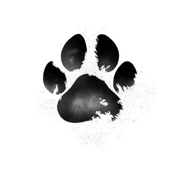 Dog Paw Png Images – Browse 36,412 Stock Photos, Vectors, and Video
