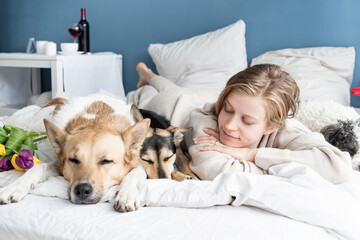 Happy young woman lying in the bed with her dogs