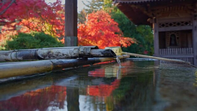 屋島寺