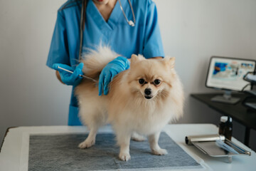 Veterinary laboratories - Injection dogs.