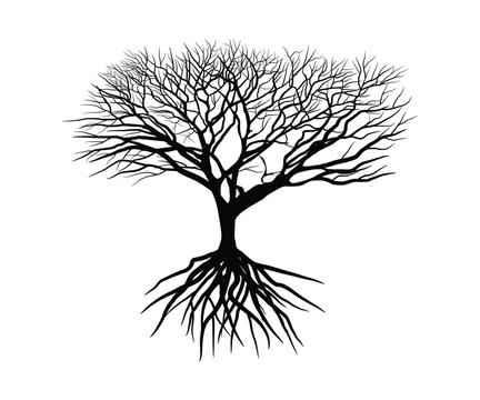 hand drawn death tree art, branch drawing isolated vector art on white background