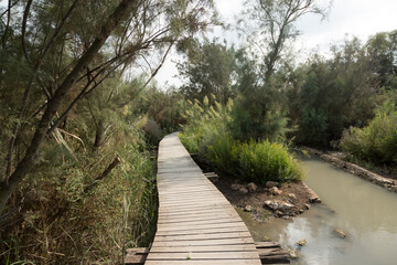 Fototapeta premium Walk in the heart of nature