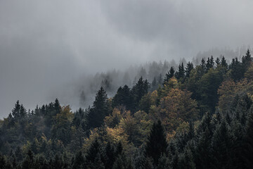 Herbststimmung
