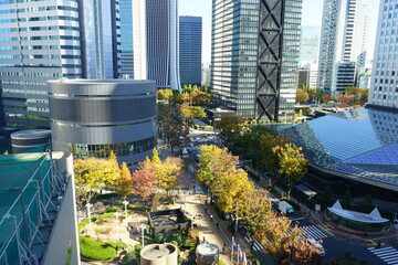 Cityscape of Shinjuku in Tokyo Japan - 日本 東京 新宿 オフィス街