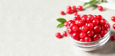 Fresh cranberry in glass bowl on light table, space for text. Banner design
