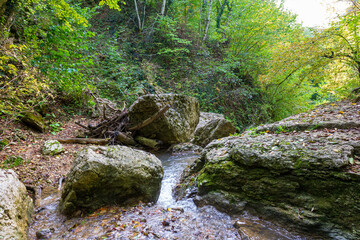 the beginning of autumn, nature walks, a mountain river with waterfalls and a panoramic view of the mountains, hiking trails and recreation in the mountains.*