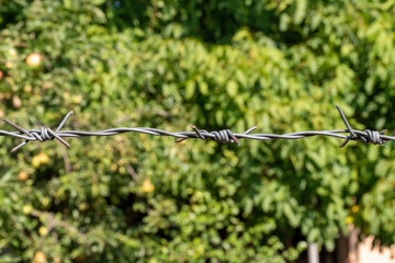 barbed wire against a grass