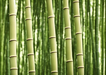 Obraz premium Illustration of bamboo forest, generative ai