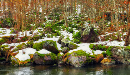 River in the forest early spring snow on rocks - 556087809