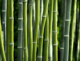 Fototapeta na wymiar Illustration of bamboo forest, generative ai