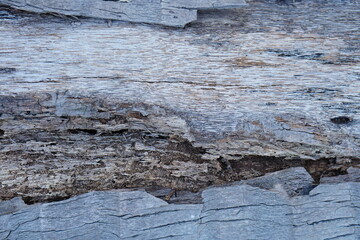 Patterned old decayed wood background