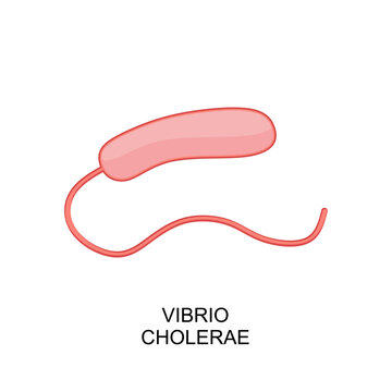 Vibrio cholerae icon. Vibrio cholerae bacterium in flat style. Bacteria of Vibrio cholerae icon. vector illustration 