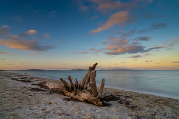 driftwood on a sandy beach with turquoise ocean water and a colorful sunset sky
