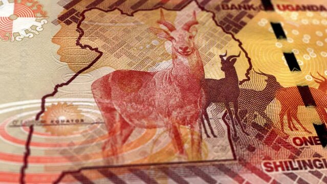 Uganda Ugandan Shilling 1000 Banknotes, One Thousand Ugandan Shilling, Close-up and macro view of the Ugandan Shilling, Tracking and Dolly Shots 1000 Ugandan Shilling banknote Observe and Reserve