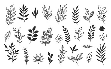 Hand drawn leaves botanical doodle floral vector element illustrations